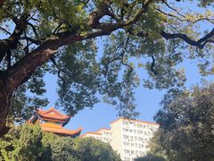 -宝通禅寺