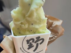 猕猴桃冰淇淋-野人先生现做冰淇淋(北京环宇荟店)