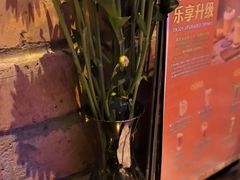 -blue frog蓝蛙(长泰广场店)