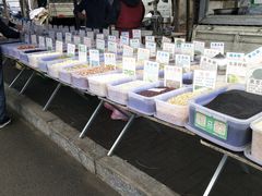 -蒲河大集