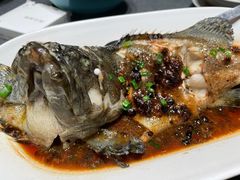 清蒸老虎斑-徐记海鲜(曲江南湖店)