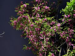 -印堂精品装饰丨一站式装修(宜山店)