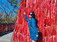 -帽儿山国家森林公园