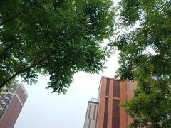 -北京华联购物中心(天通苑店)
