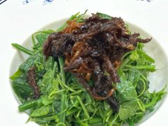 油鸡枞炝拌丝瓜尖-玉华台饭庄·淮扬菜·烤鸭(望京店)