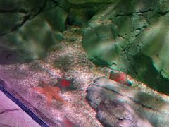 -沈阳海洋探索中心