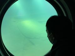 -白鹤梁水下博物馆