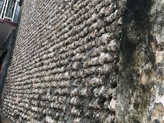 -小洲村