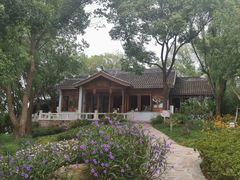 -上海市保健医疗中心