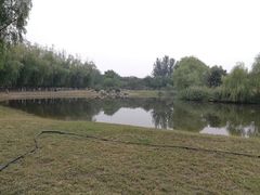 -大兴滨河森林公园