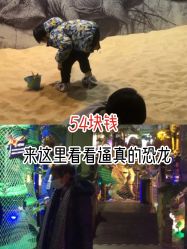 -恐龙探索乐园(磁器口店)