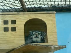-青藏高原野生动物园