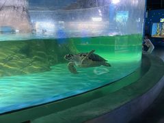 -常州海昌海洋探索馆
