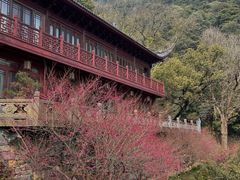 -韬光茶庵