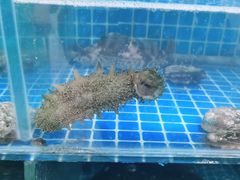 -宾朋海鲜美食餐厅·特色美食(兴海路店)