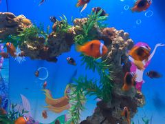 -烟台海昌鲸鲨海洋公园