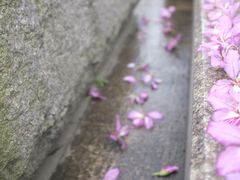 -柳侯公园