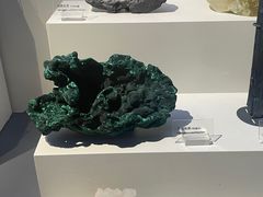 -重庆自然博物馆(新馆)