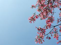 -广东财经大学(广州校区)