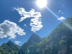 -大岭沟猕猴桃谷风景区