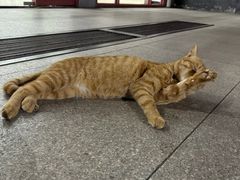 -浙江农林大学(东湖校区)