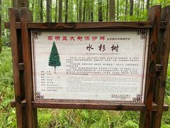 -上海怡沁园度假酒店