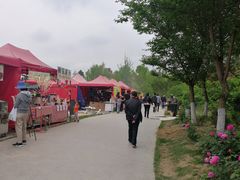 -秀丽东方