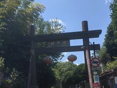 -阿巧茶庄