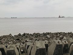 -上海滨江森林公园