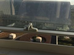 -上海市第一人民医院(松江南部)