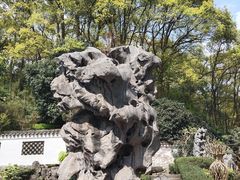 -南山植物园