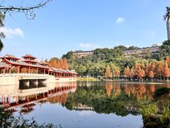 -重庆彩云湖湿地公园