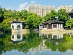 -红梅公园