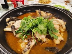 -天地生态农庄