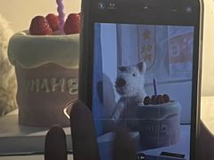 -LuluCake·路鹿蛋糕