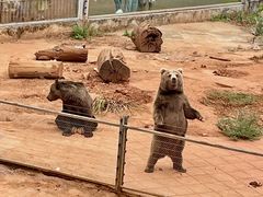 -昆明动物园