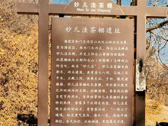 -阳台山自然风景区