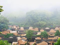 -杨家堂村