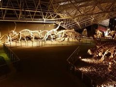 -世界恐龙谷景区