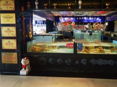 -尚海豆捞(乐虹坊店)