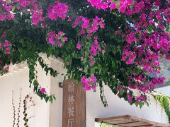 -喜洲翰林餐厅(董家百年老宅店)