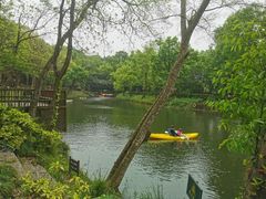 -WeLope紫金山探险公园