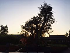 -西安汉城湖景区