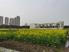 -安亭老街