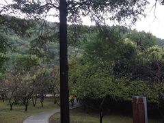 -第一山景区