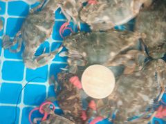 -宾朋海鲜美食特色餐厅·纯手工鲅鱼水饺(兴海路店)