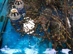 -清水湾3号(东方小周海鲜店)