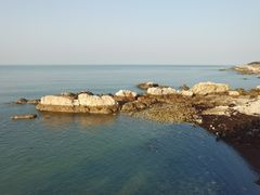 -养马岛旅游度假区