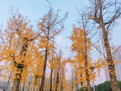 -两江幸福广场