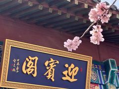-桃花堤公园